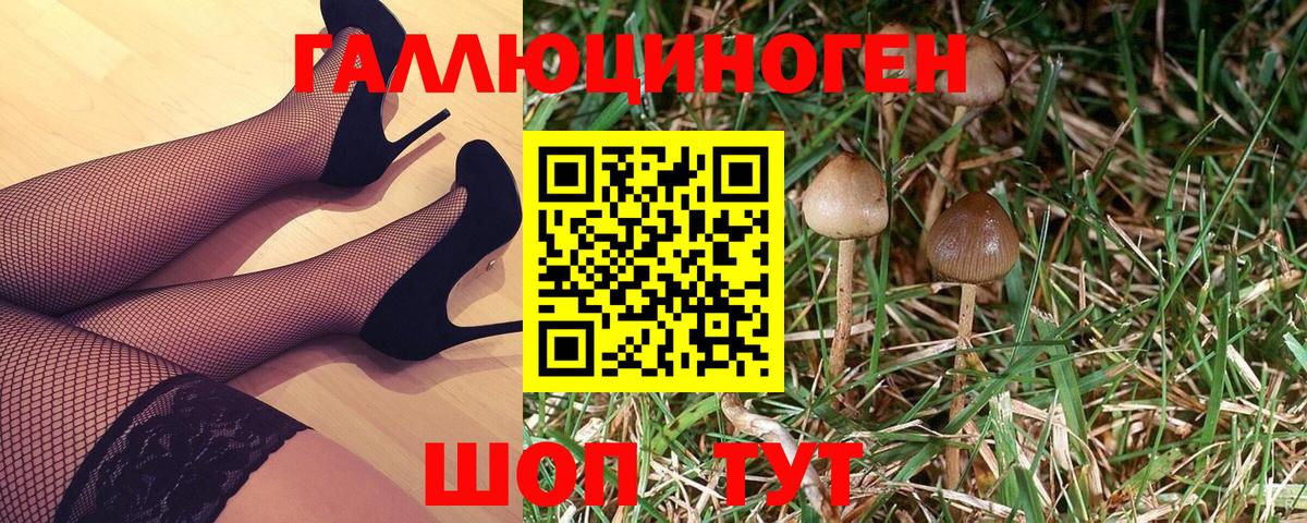 Псилоцибиновые грибы прущие грибы  Галлюциногенные грибы Psilocybe  Вход с VPN  Березники 